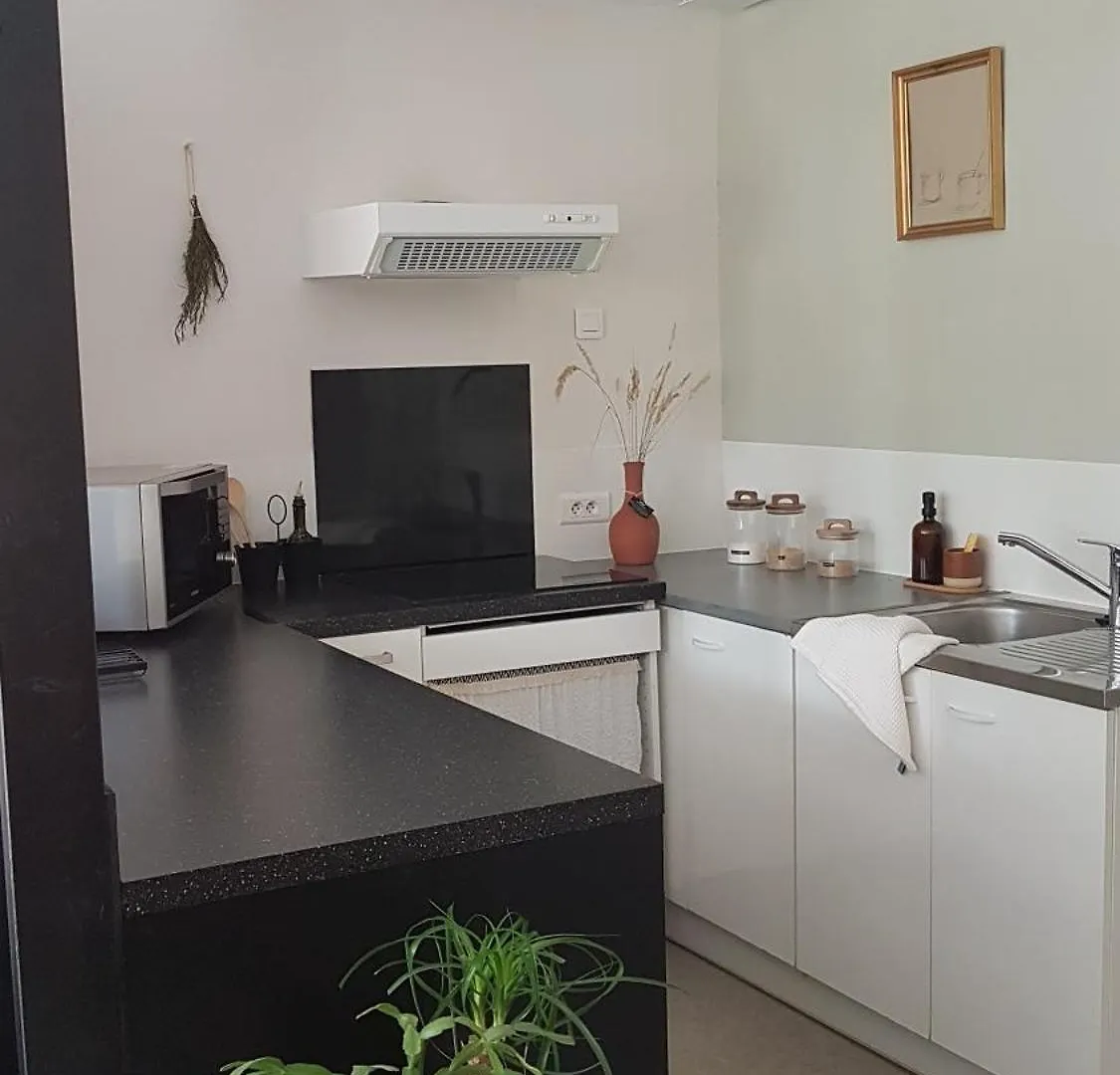 La Maison, Studio Ou Appartement T3 Avec Parc Arbore Villefranche-de-Rouergue